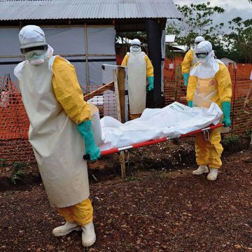 Γιατροί Χωρίς Σύνορα κατά ΠΟΥ για τον Έμπολα