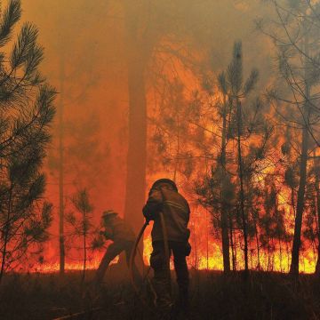 Λιγότερες αλλά «δριμύτερες» και πιο καταστροφικές οι πυρκαγιές το 2014