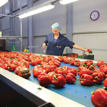 Ο ρόλος της ασφάλειας στην παραγωγή τροφίμων