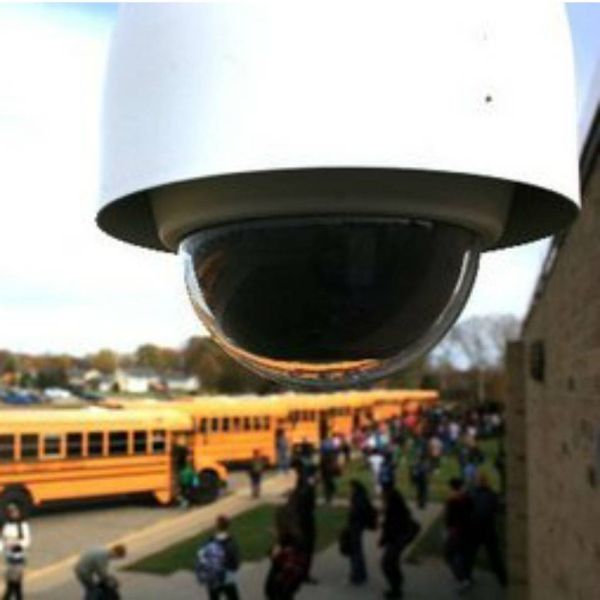 6cb9db145574ef4172342e43118f19ee XL 0150541c