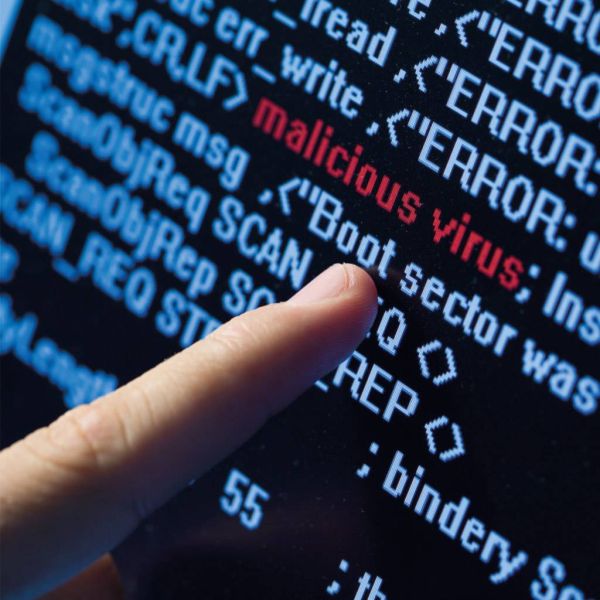 53af0161bdcf4c892c691e5fb176523b XL 026cac69