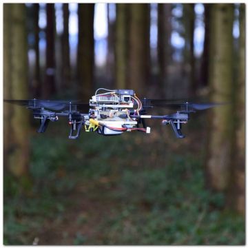 Απαγόρευση drones πάνω από προστατευμένες δασικές περιοχές