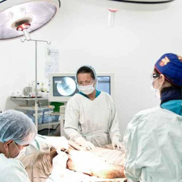 72b16f49461de1143741e21142c66738 XL 123f4e43