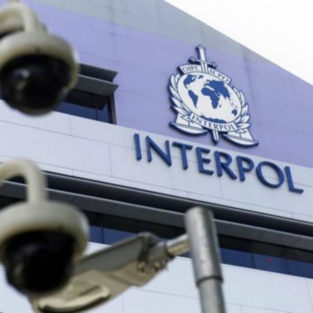 Επιχείρηση «μαμούθ» κατά του λαθρεμπορίου από 81 χώρες