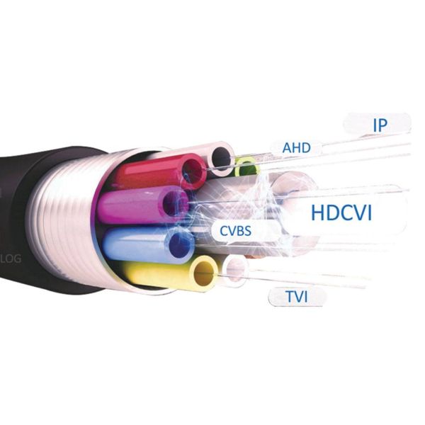 2c76be6100f94fcbc7b01029a02f2e20 XL 169d5ff6