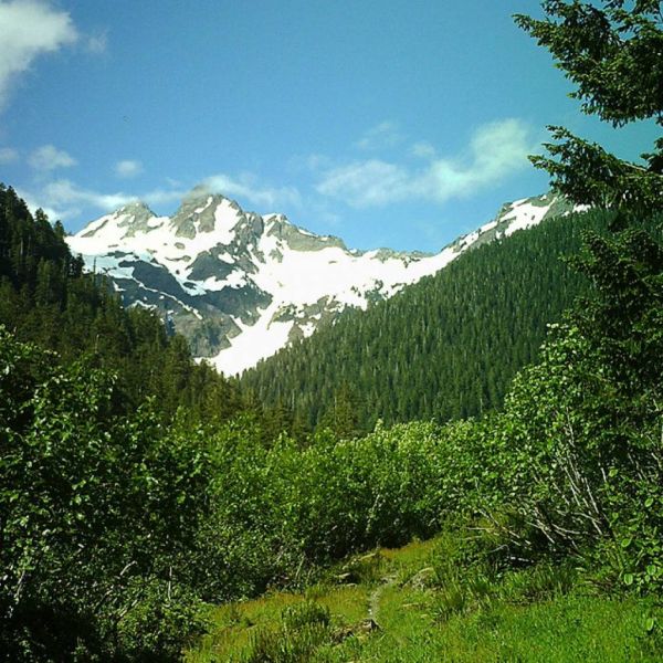 a47e47b084a0efff55081595aa39113e XL 17db8d22