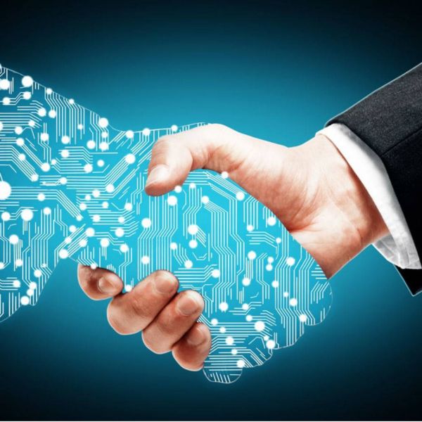 b8c5321a0dfef44b9f4a8872a1bce47f XL 1bcbcace