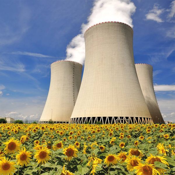 823ec6832d6ee0647baa531139423dcd XL 201c4507