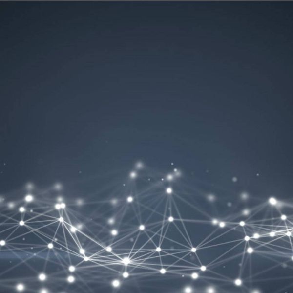 952b28b018e1666b676605051b51e6b2 XL 210e14e8