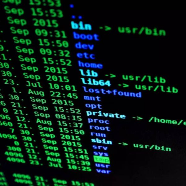 187192f7ca287628f0a505c33d4cc832 XL 225c7e7b