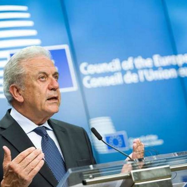 c6d329115a240a55620f31770670a857 XL 22e27f1e