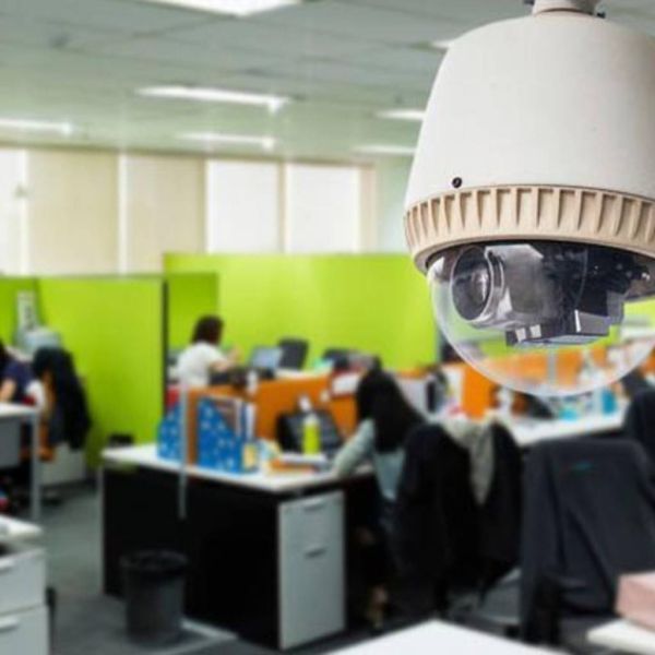 6eb79ed18ce9ba52ae248cbd885ce895 XL 23218482