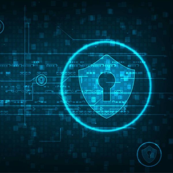 da47881ccc3962658a2567f9216356f4 XL 24e7c1c3