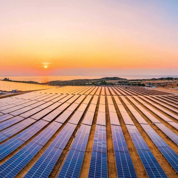 b57688b001c01d8bee41ad69e19acb93 XL 25d68574