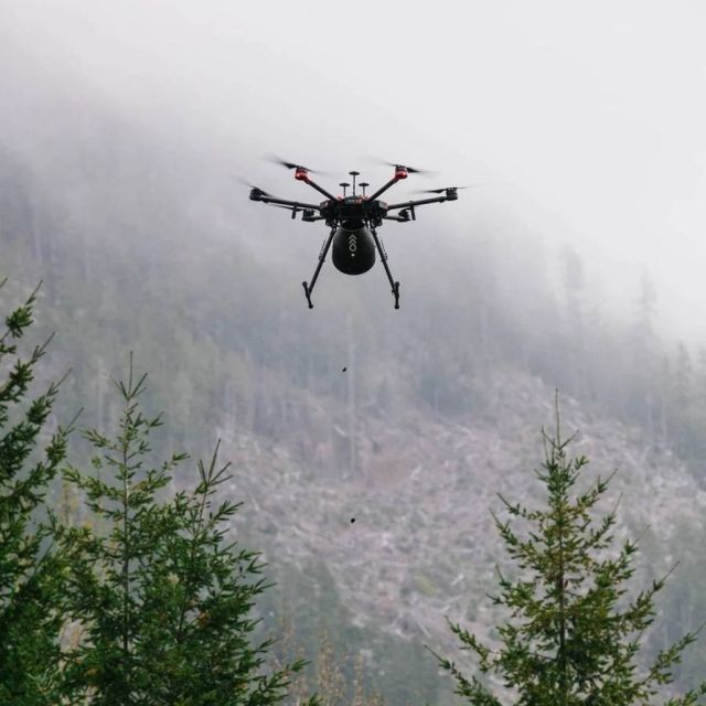 Αναδάσωση με drones: Startup θέλει να φυτεύει 40.000 δέντρα το μήνα