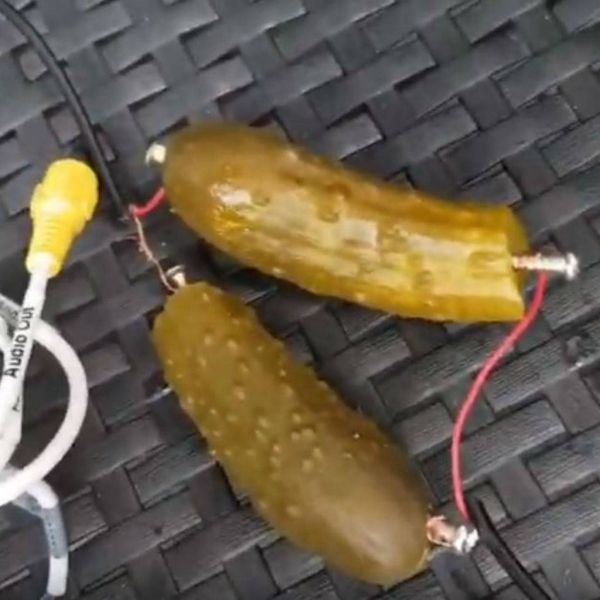 3c734eda38bc3a13b6d1019271924720 XL 2cc34e48