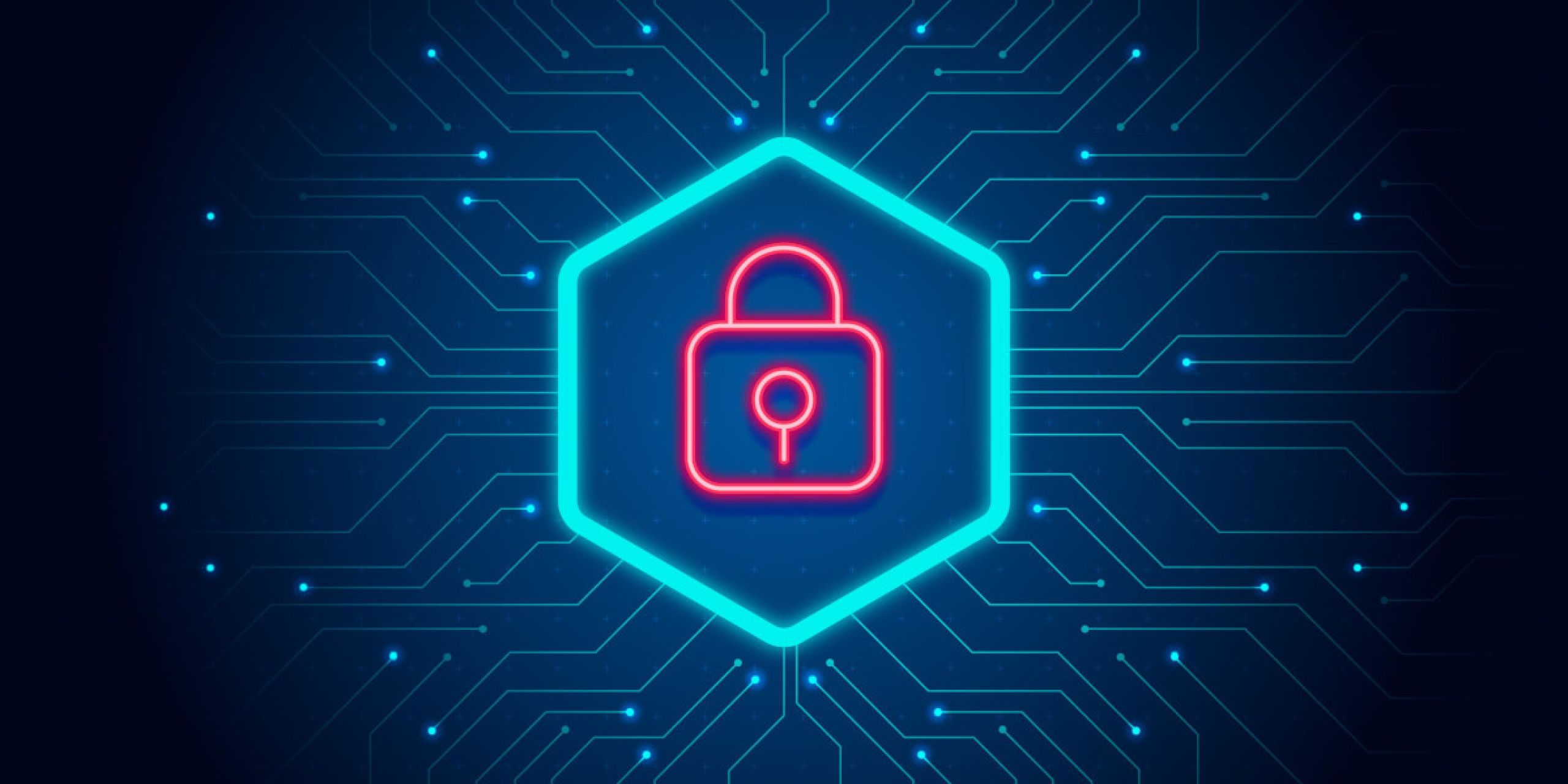 infostealers 30dd2c42