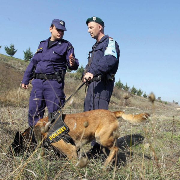 fbe0cb468ebf47784fd8b26af4021e7e XL 316f6926