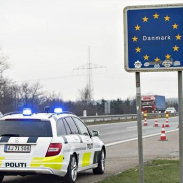 Δανία: Φράχτης 70 χλμ στα σύνορα με Γερμανία για προστασία…γουρουνιών