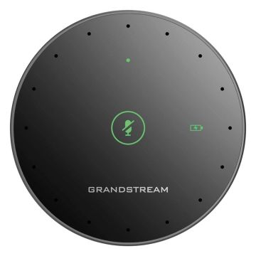 Grandstream GMD1208
