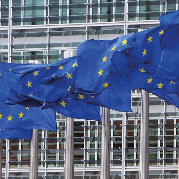 ce93b7c97ea8831859bbe17c36b83648 XL 3f4c3480