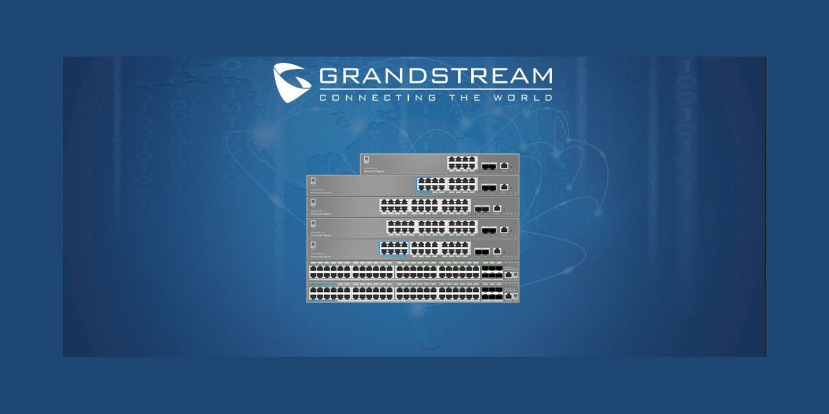 grandstream 2 3f554a3a