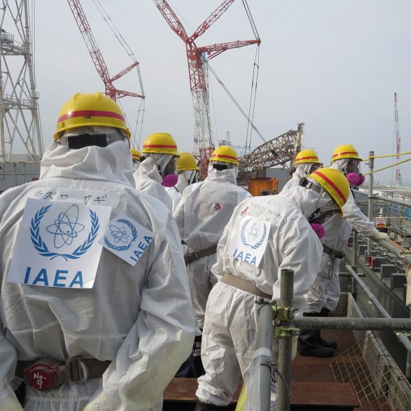 542390225756f78888142d54f3d17e01 XL 4025064e