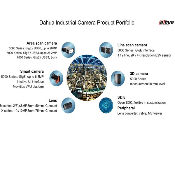 505ad88a129b1cf182f5a02bc63c73a9 XL 41e66066