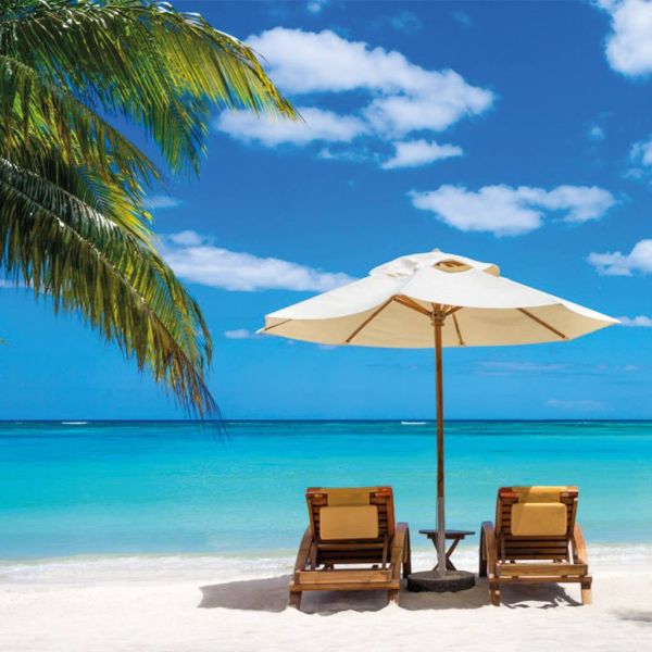 6cd6bec50e9eebe449929cb4e0b61cd4 XL 426939a9