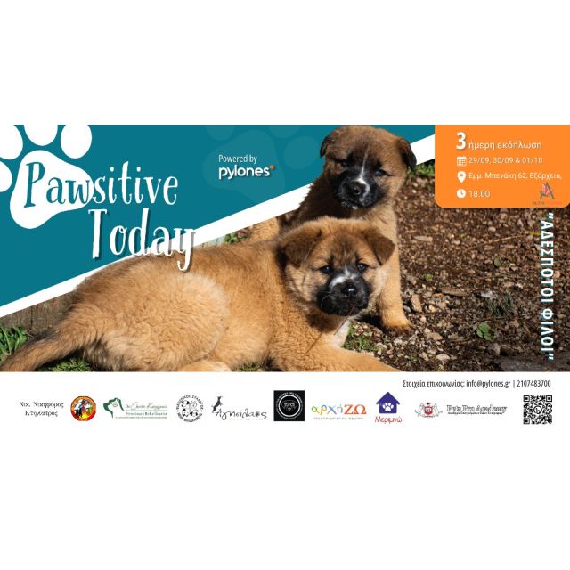 Πληροφορική & Ευαισθησία: Διαμορφώνοντας ένα Pawsitive Tοday από την Pylones Hellas!
