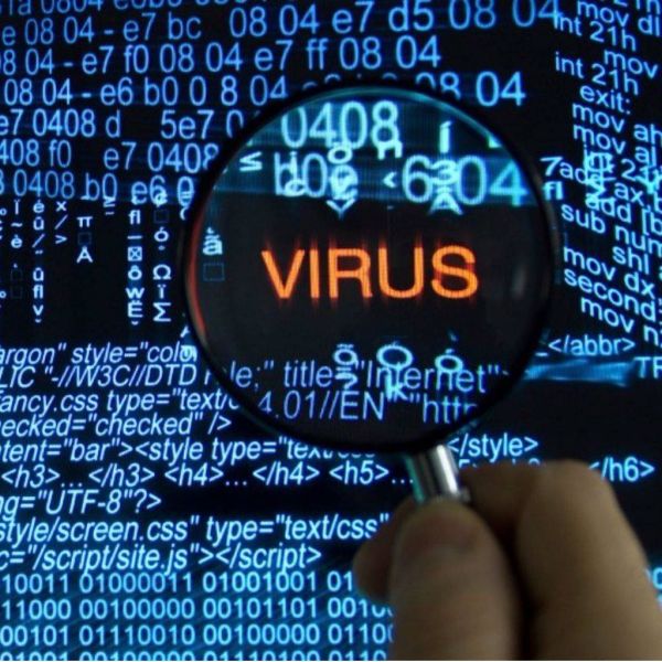 b3a2e5dca6bdcebe337fb78c9c861f26 XL 48257c0b