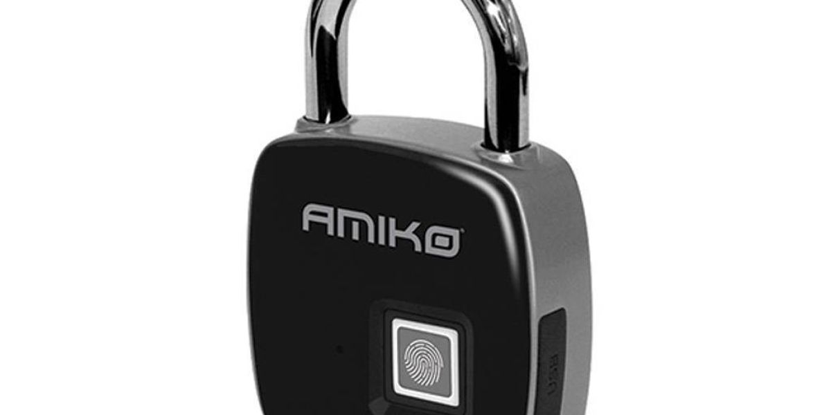 AMIKO FPL-3