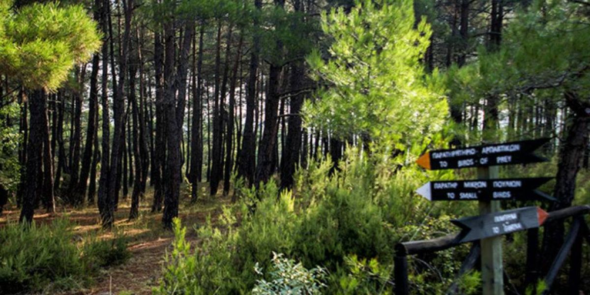 Αλεξανδρούπολη: Δημοπράτηση πρωτοποριακού έργου πυρανίχνευσης
