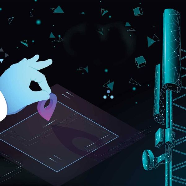 ed4e2ae3ded1859f5e7022ec2c1677f9 XL 4c17129c