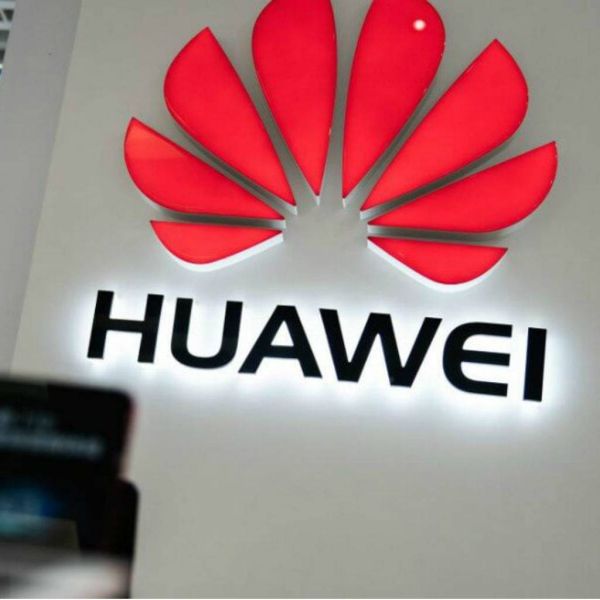 3a5305e8ff2b46915631a26f491f1877 XL 511517ee