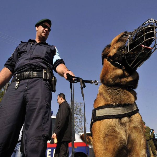 5525b1893e16b19ac6ba385d3132f225 XL 5205a61c