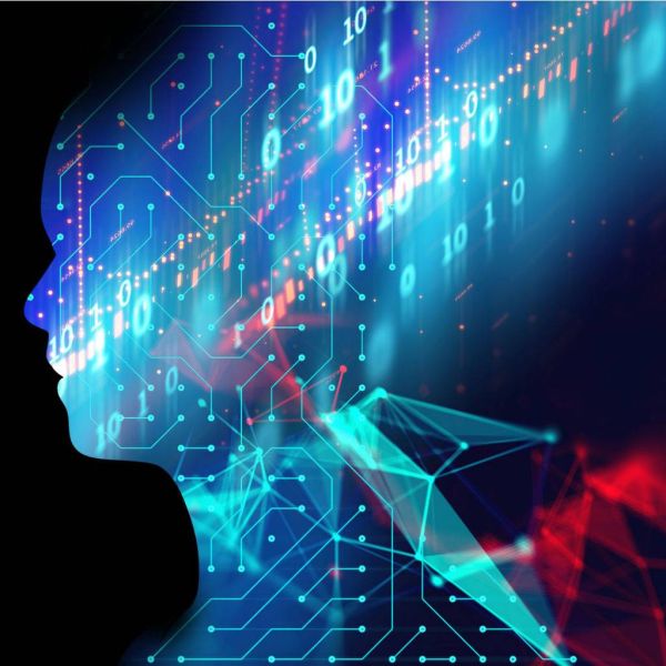 cd3414c88a8fe15e414eea3827174aea XL 540a5679