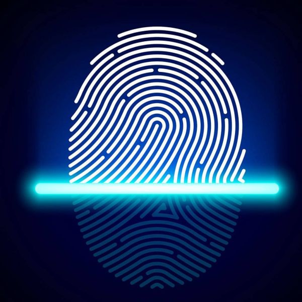 90b4833e2a2a9de7adfae3577b2a52be XL 55174515