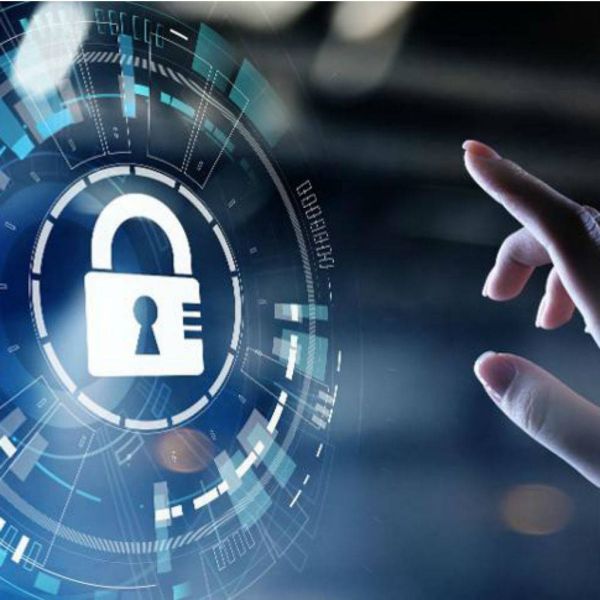 82980f541792121ec666b7d368779384 XL 5c2484b9