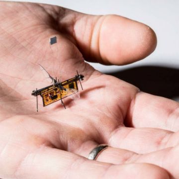 Πέταξε το πρώτο ασύρματο ρομποτικό έντομο