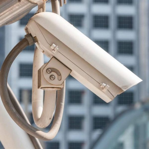 ff3f7da505e12201ef9a3c6da1b9ef7b XL 5f89434c