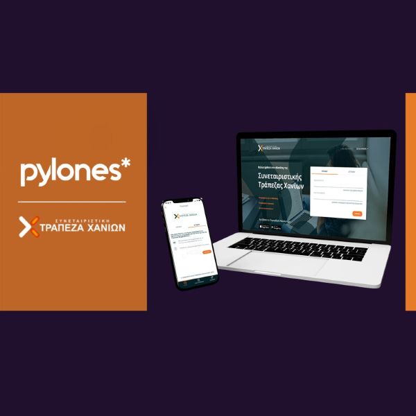 pylones 600794cc
