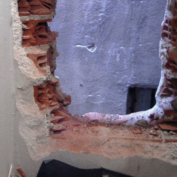 03c6551b3ff419ffda8a75dcabbc3b55 XL 61264217