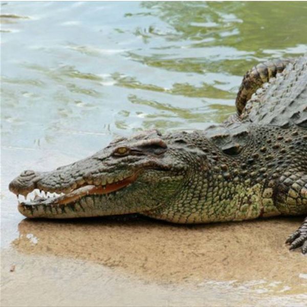 d117ca8d4efba1f9344562b20a9faa47 XL 6aa4a561