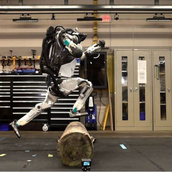 2a2bd9e25f7b4812efcfbb15d5600de1 XL 6de34ebe