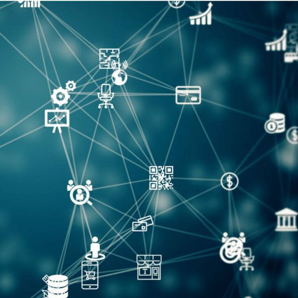 f23854f67ef66b53d41551d8478a0365 XL 6dcde8aa