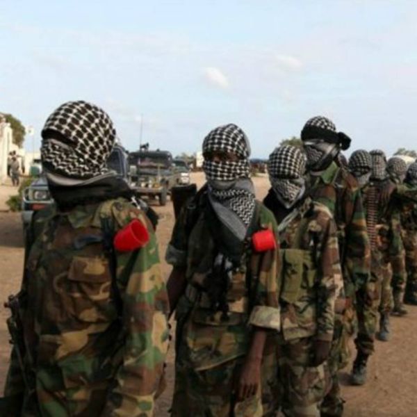 c1df29092bfc99d870af10fd99f2fbc0 XL 76e739df