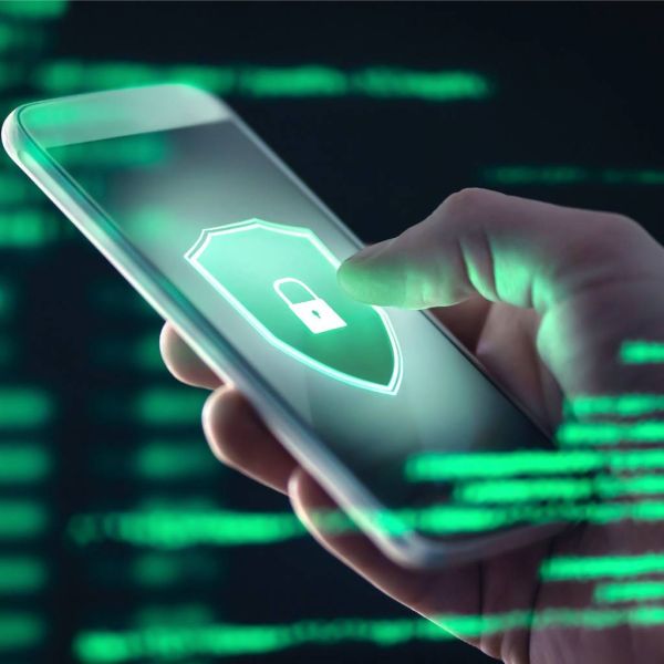 b91d0956795a66bde59773818377a711 XL 7cfb2afa