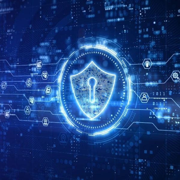 ae24e1464667a8808771095b81beb4c6 XL 7db543c7