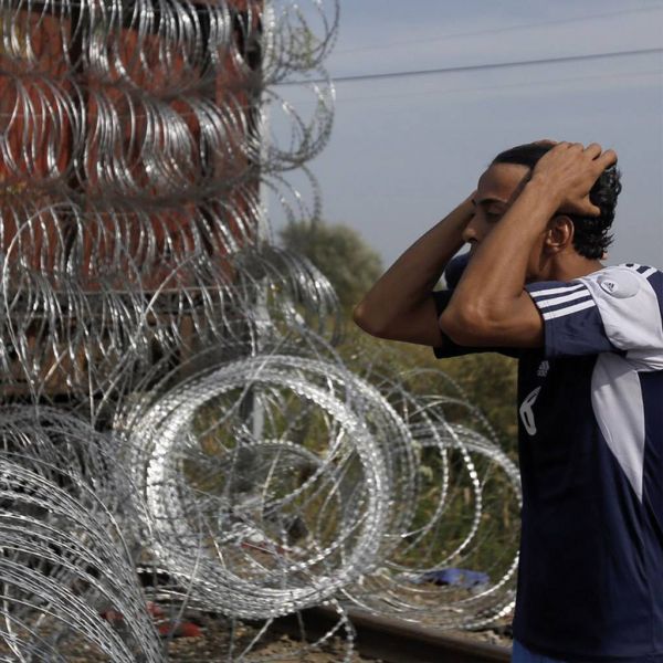 5c0287f21e655f5925e179da9ba8717d XL 80788673